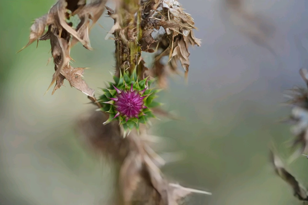 Image uploaded by David