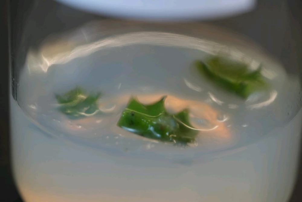 Image uploaded by David