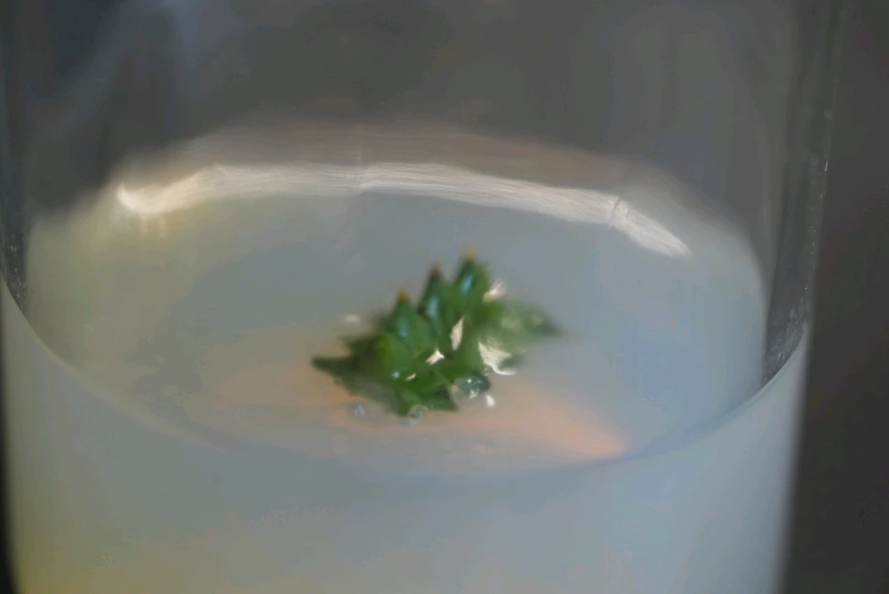 Image uploaded by David