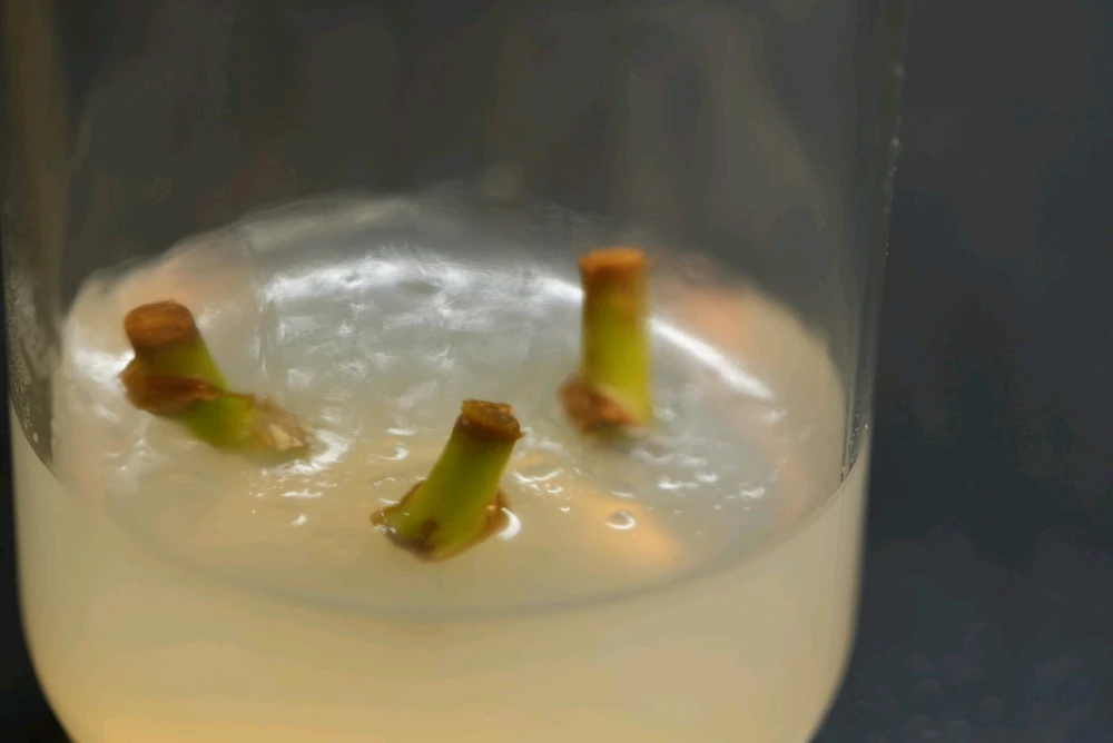 Image uploaded by David