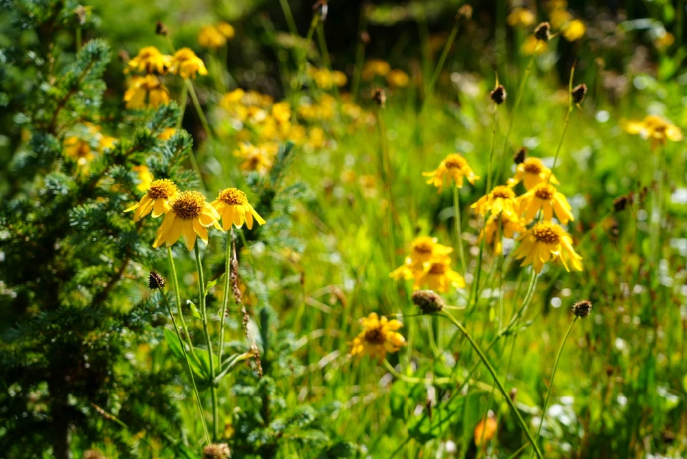 Image uploaded by David