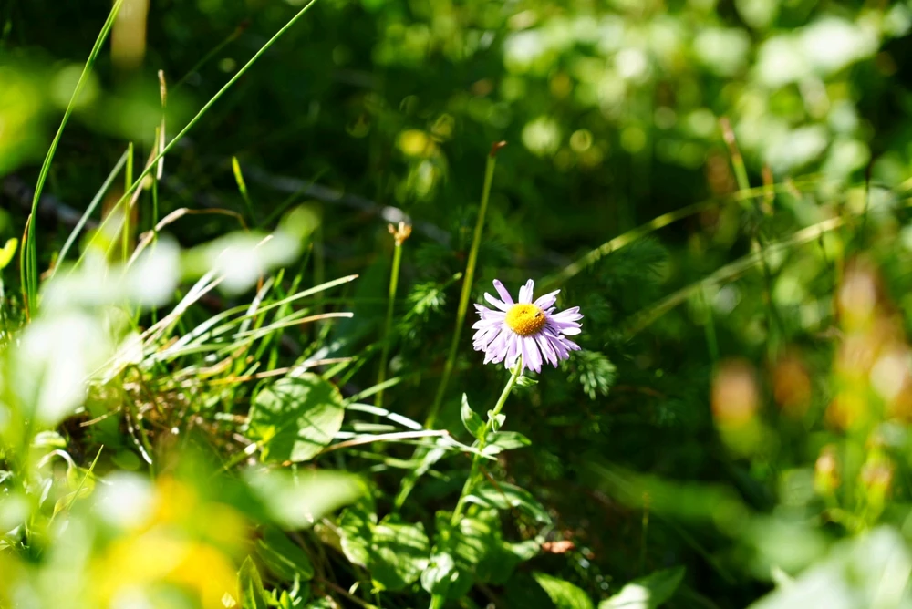 Image uploaded by David