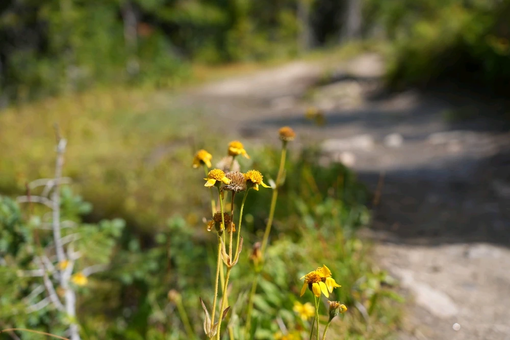 Image uploaded by David