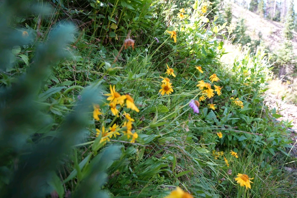 Image uploaded by David