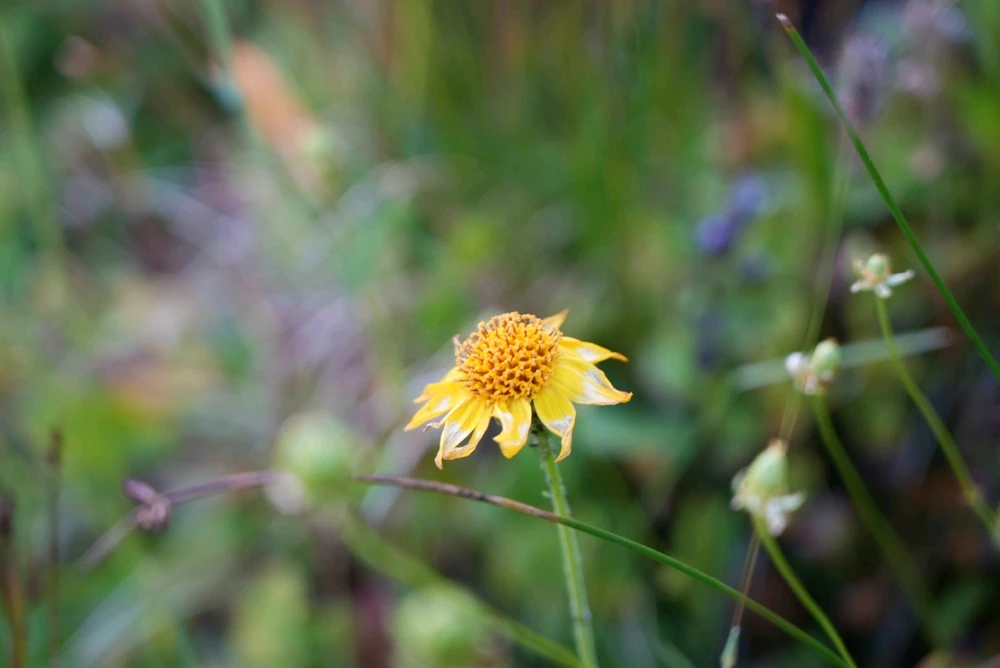 Image uploaded by David