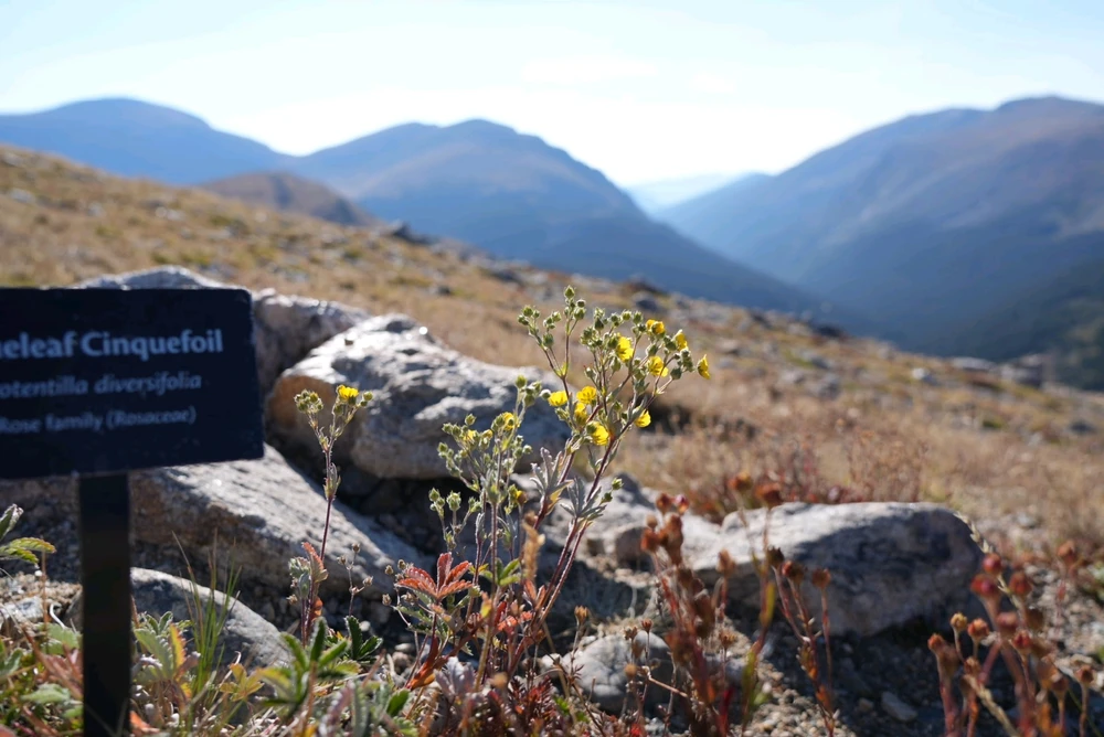 Image uploaded by David