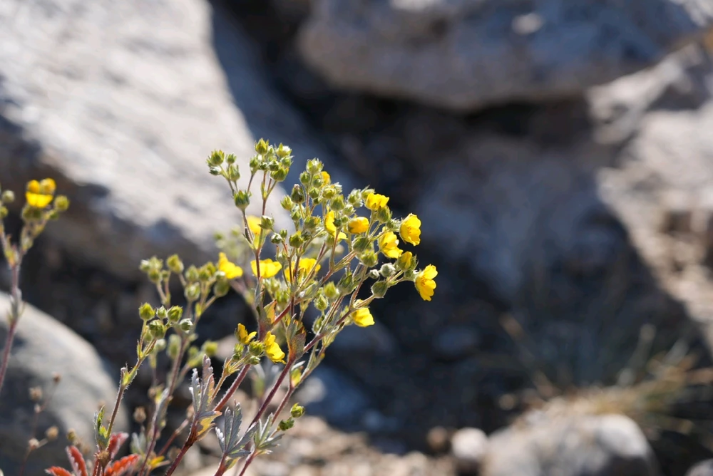 Image uploaded by David