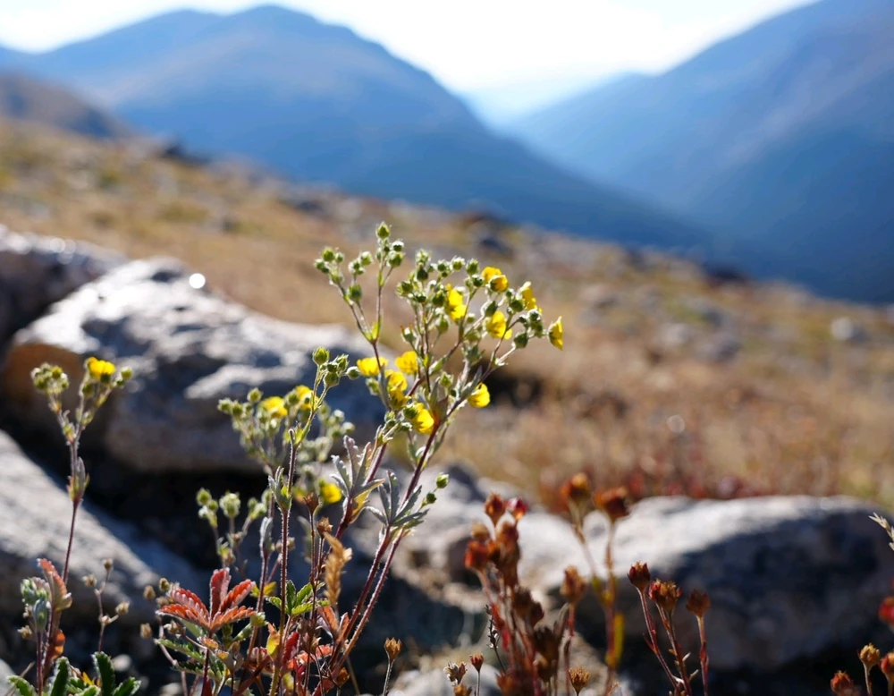 Image uploaded by David