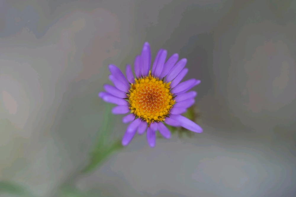 Image uploaded by David