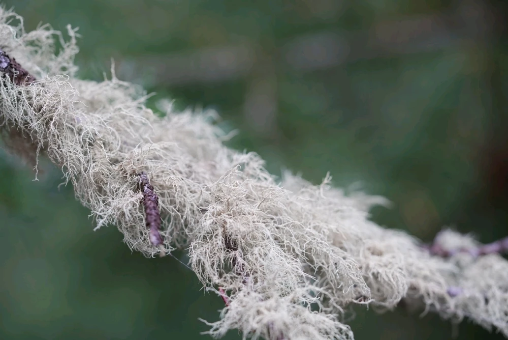 Image uploaded by David