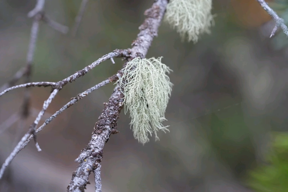 Image uploaded by David