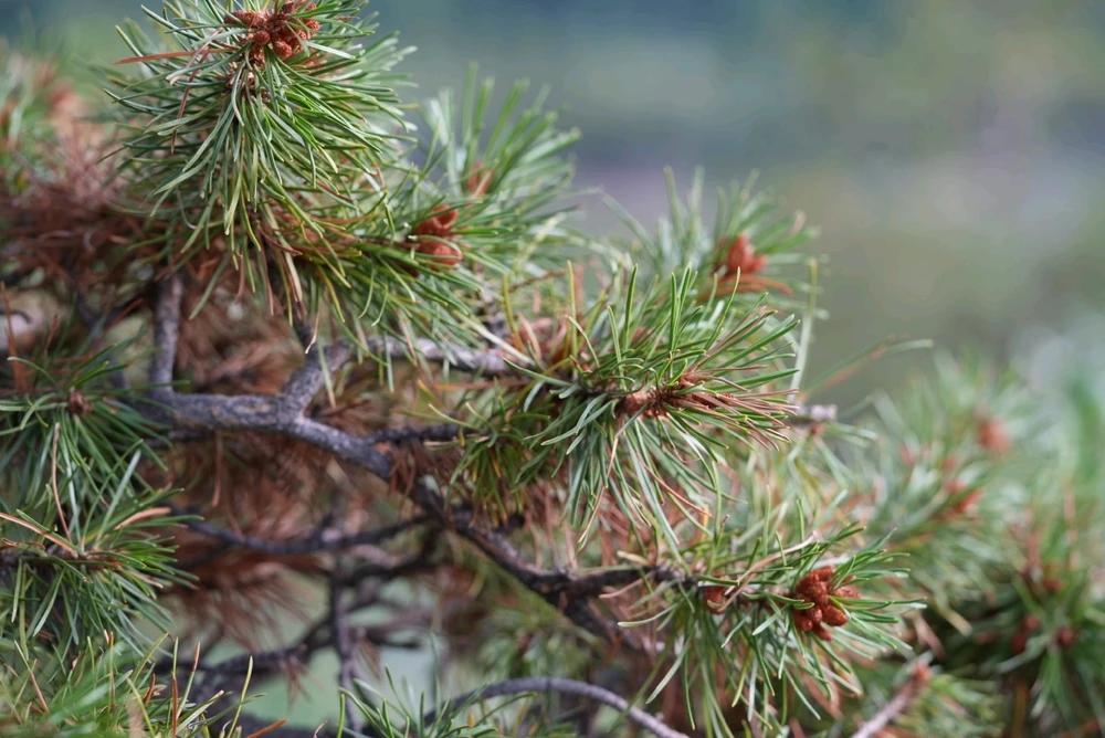 Image uploaded by David