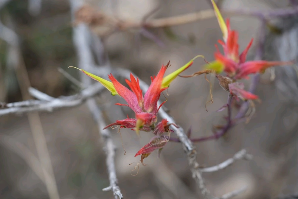 Image uploaded by David