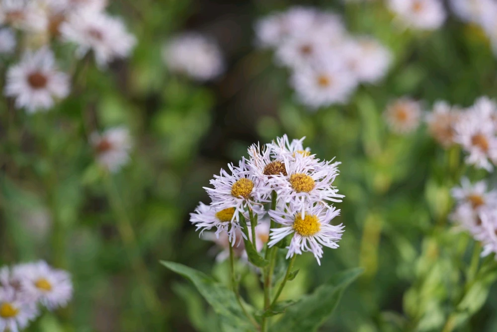 Image uploaded by David