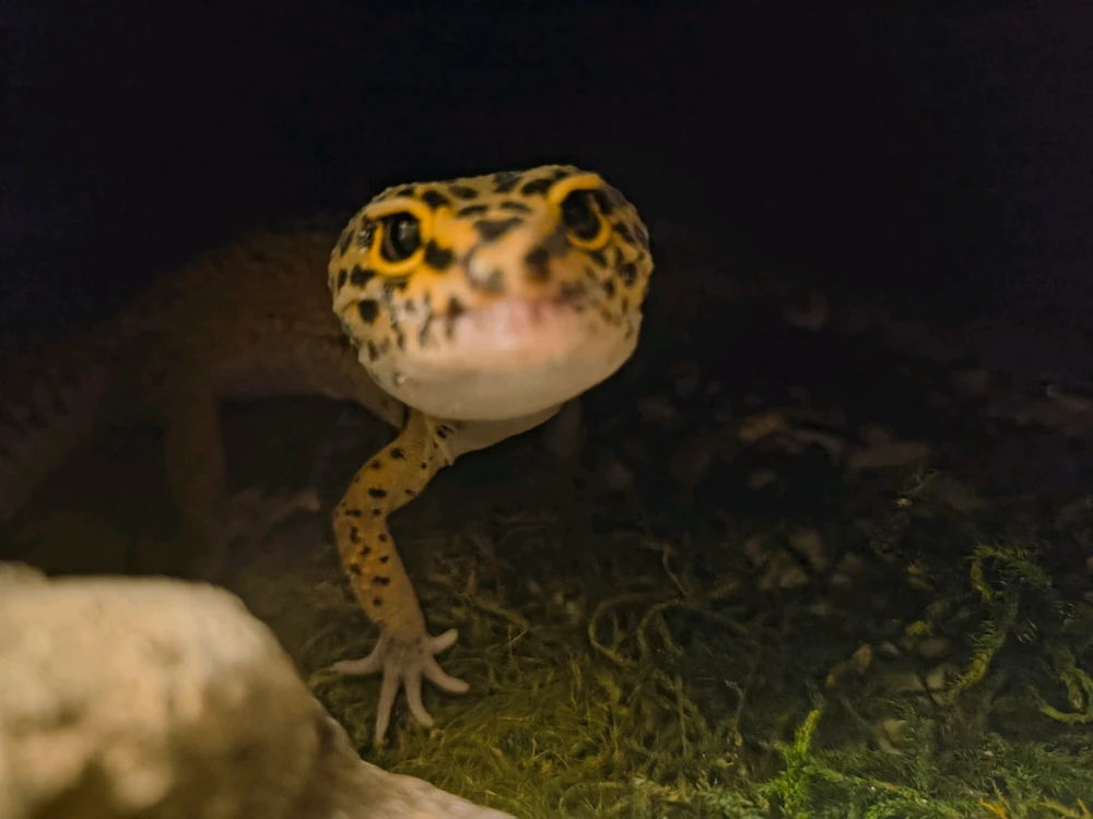 Image uploaded by James