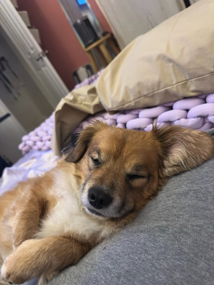 Image uploaded by Kim