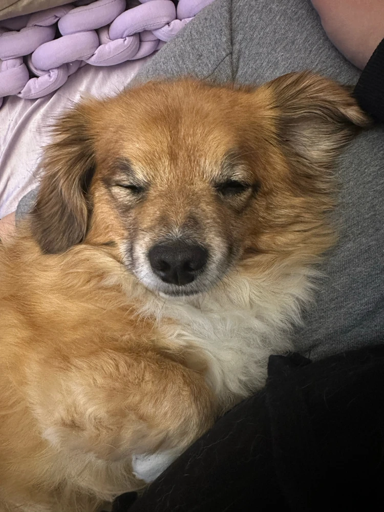 Image uploaded by Kim