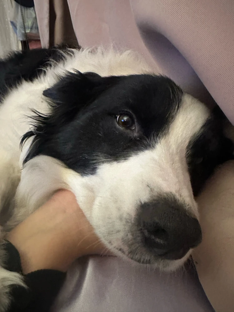 Image uploaded by Kim