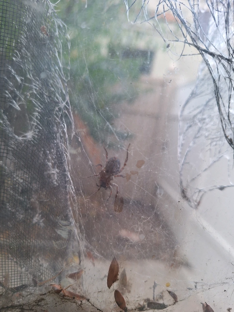 GIF uploaded by Daisy