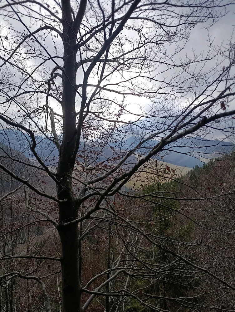 Fotku nahral/-a Simona