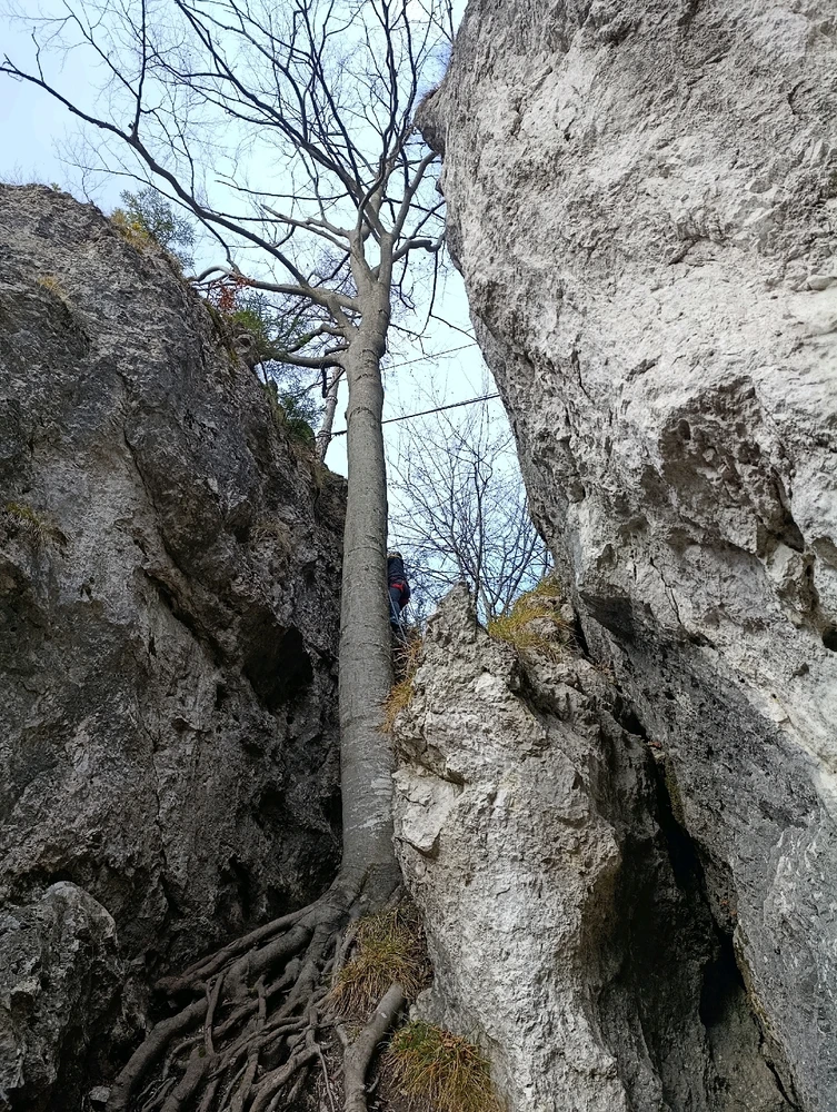 Fotku nahral/-a Simona