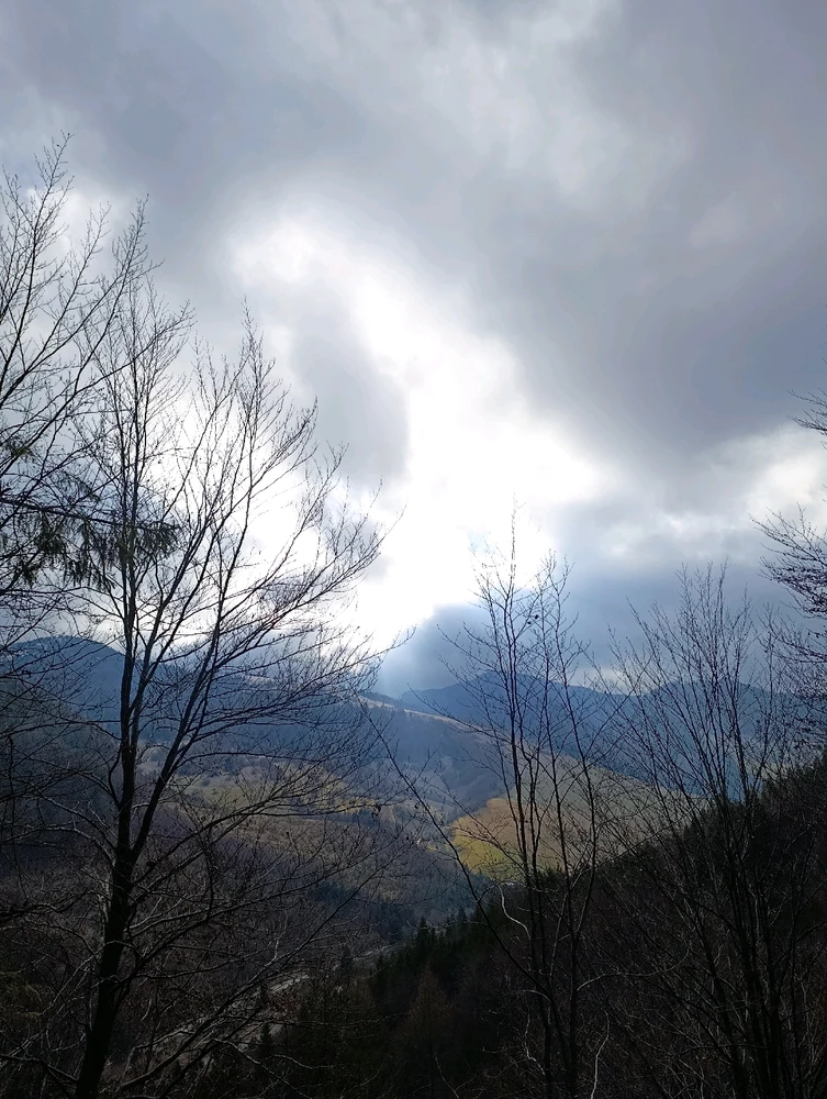 Fotku nahral/-a Simona