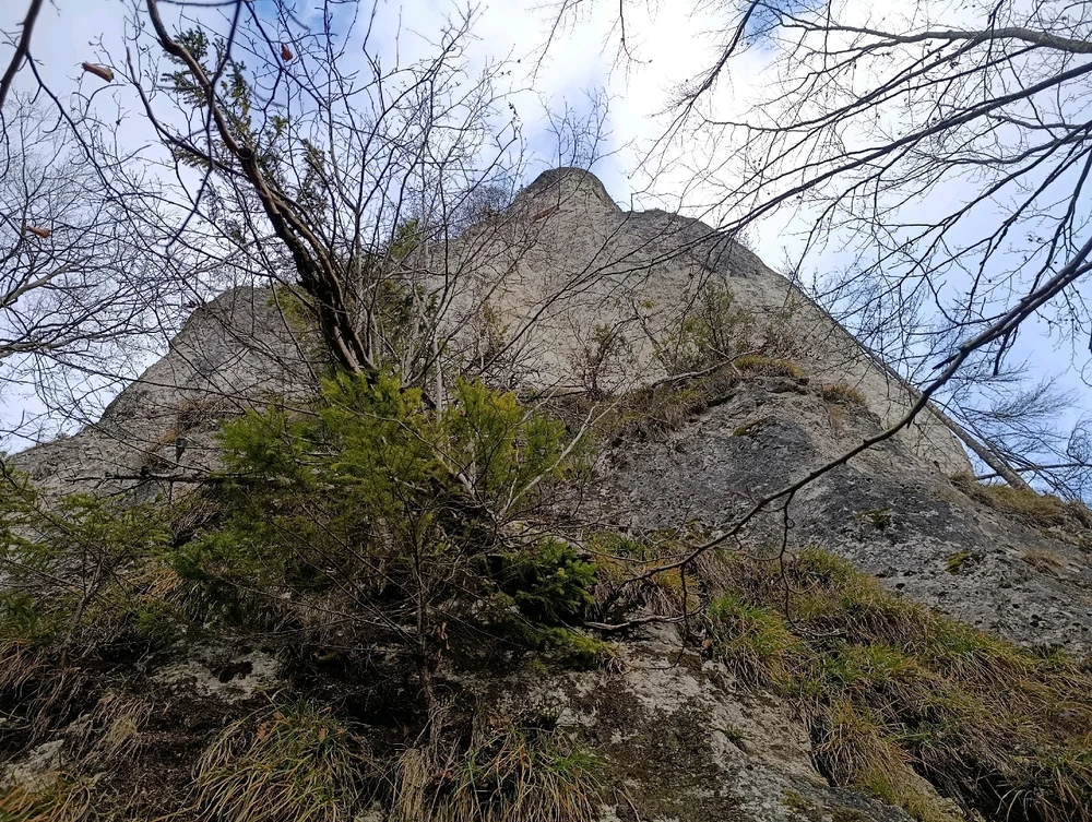 Fotku nahral/-a Simona