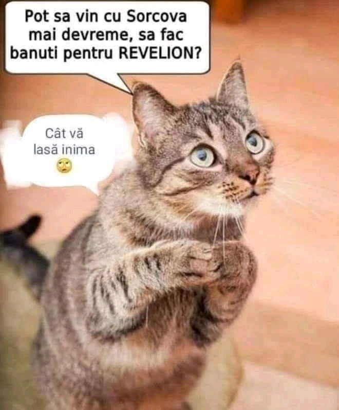 GIF încărcat de AngelNyky