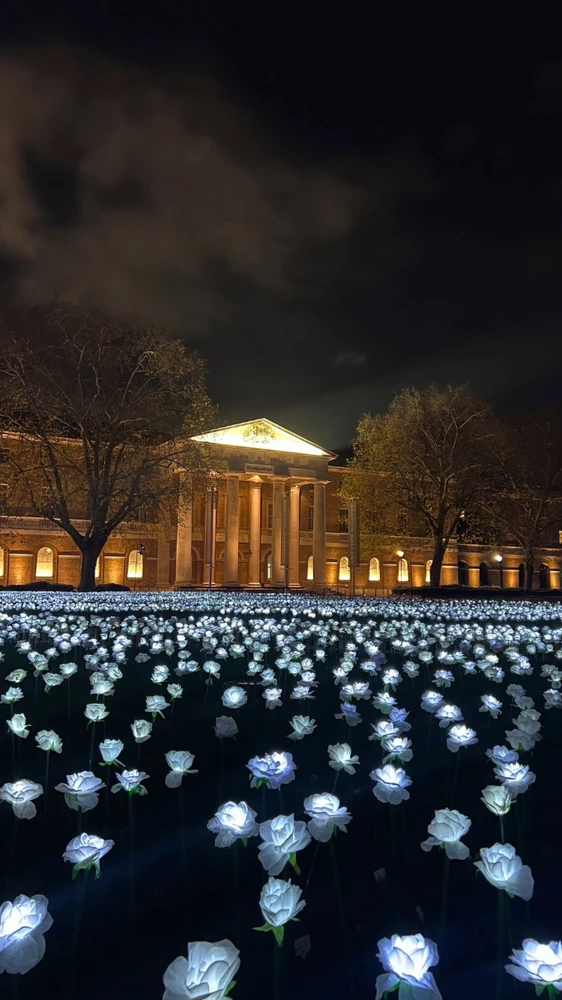 GIF uploaded by Hakan