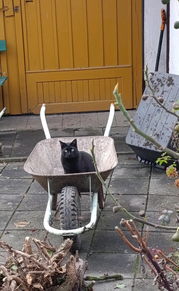 GIF nahrál ⭕⭕ Hlubina