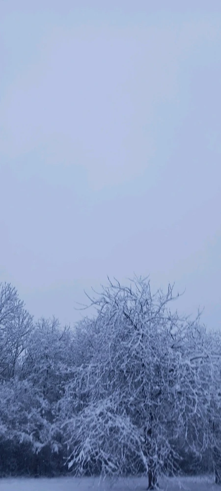 GIF uploaded by Chris