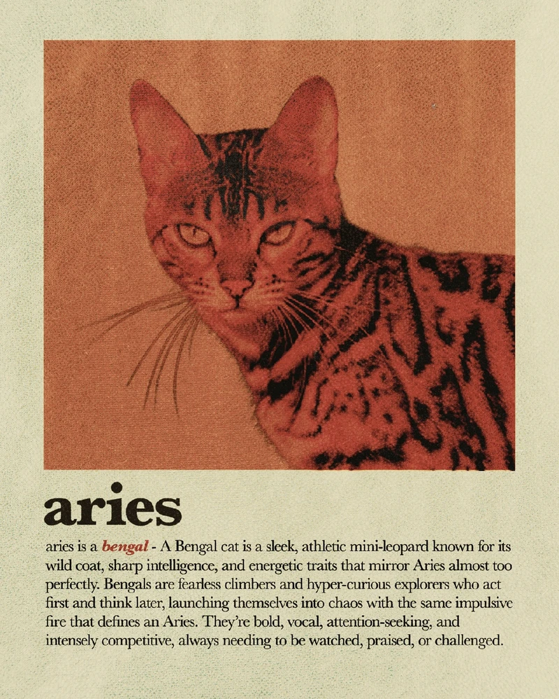 Bild hochgeladen von Osthexe