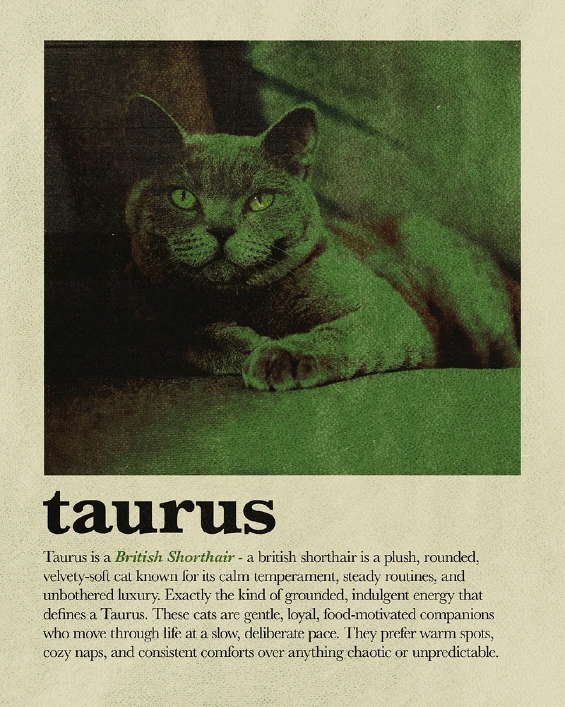 Bild hochgeladen von Osthexe