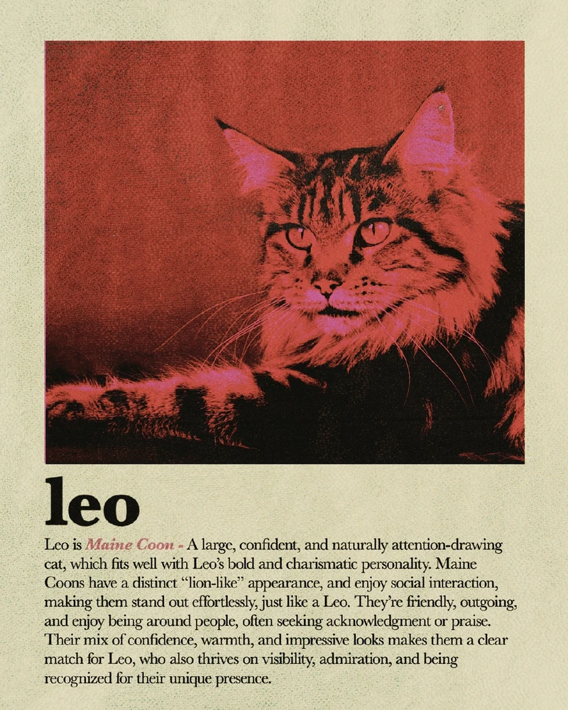 Bild hochgeladen von Osthexe