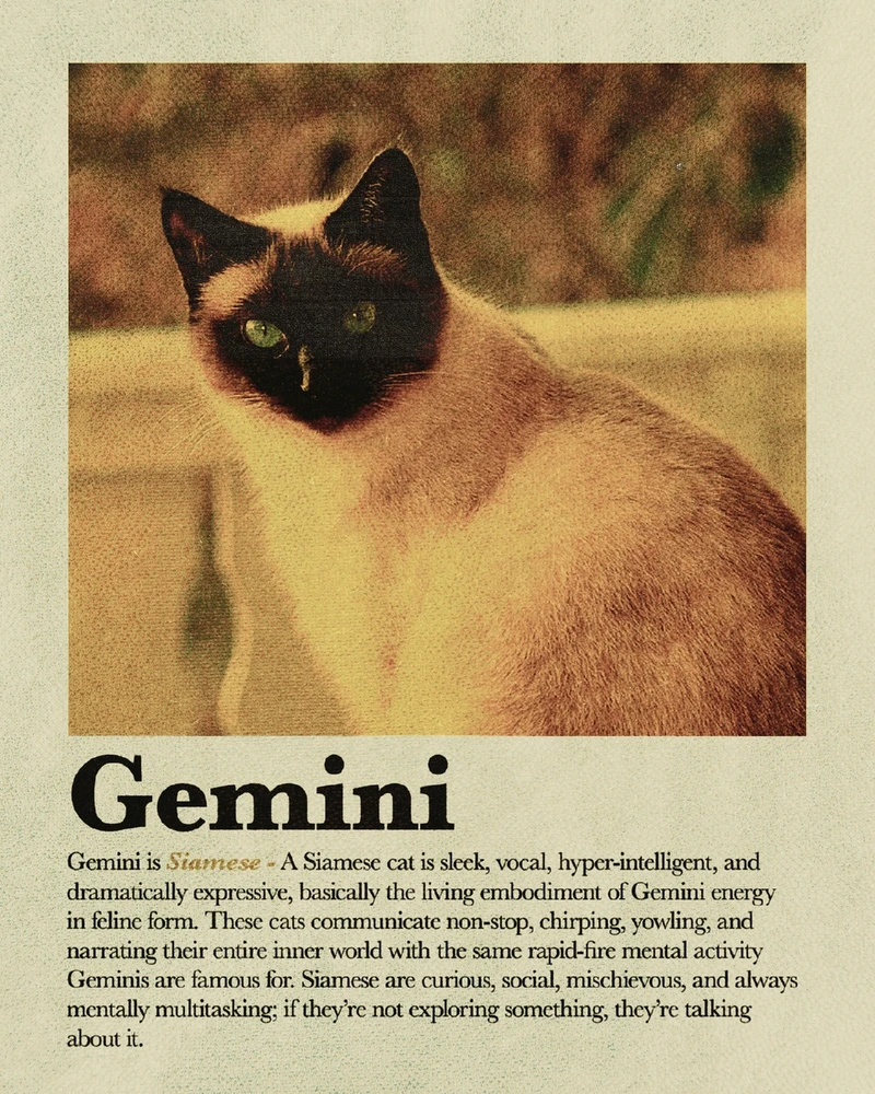 Bild hochgeladen von Osthexe