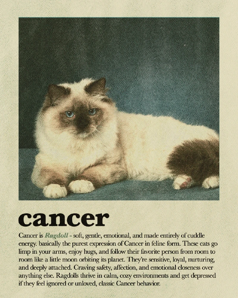 Bild hochgeladen von Osthexe