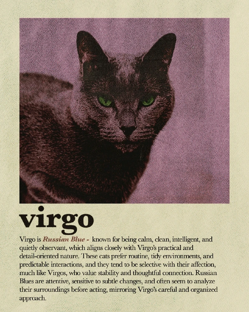 Bild hochgeladen von Osthexe