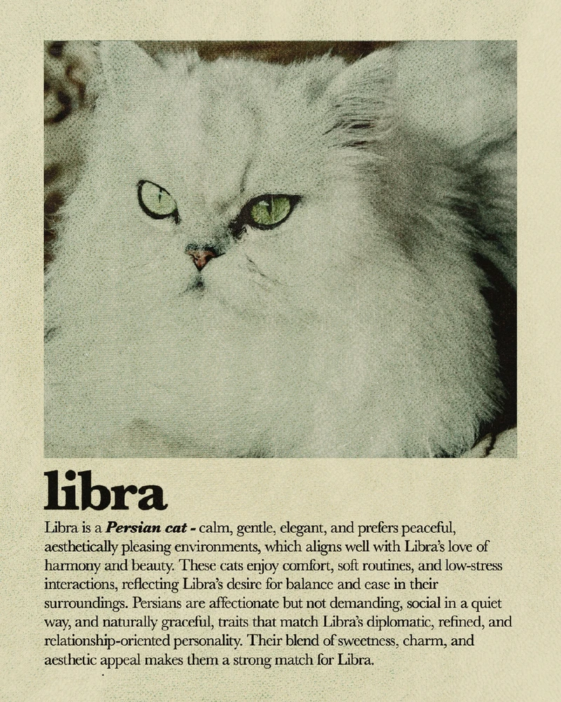 Bild hochgeladen von Osthexe