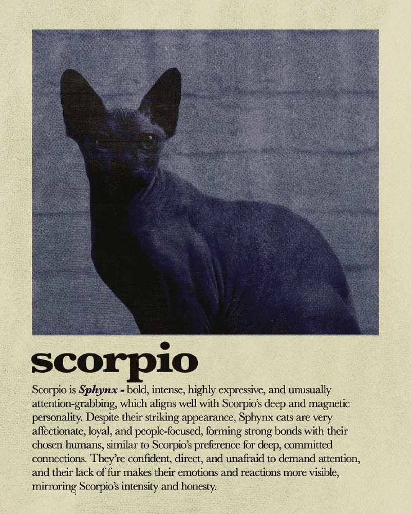 Bild hochgeladen von Osthexe