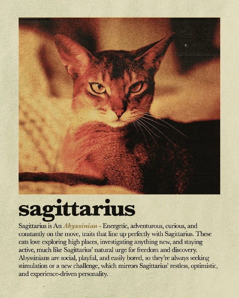 Bild hochgeladen von Osthexe