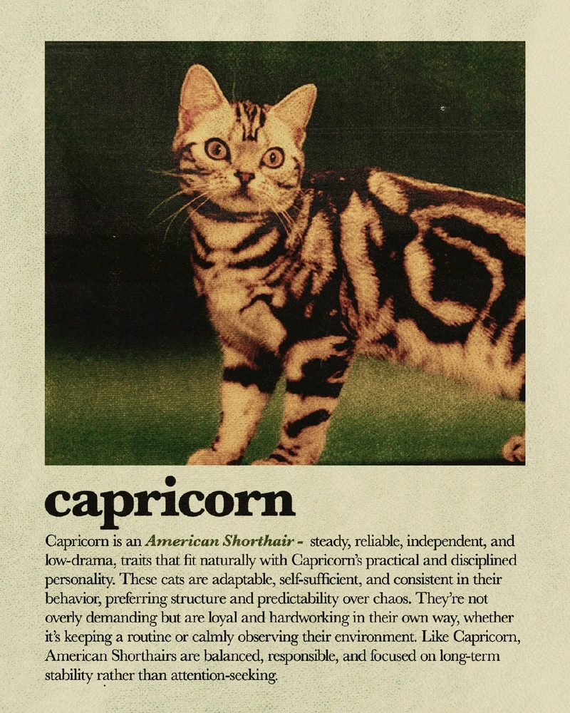 Bild hochgeladen von Osthexe