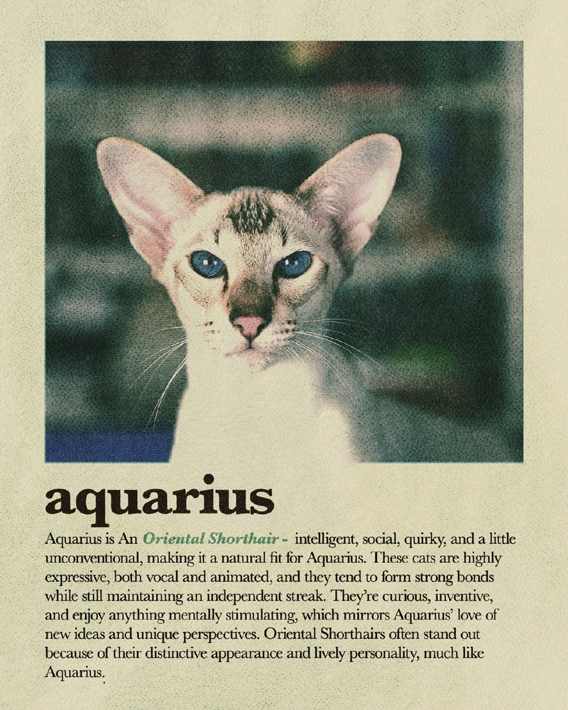 Bild hochgeladen von Osthexe