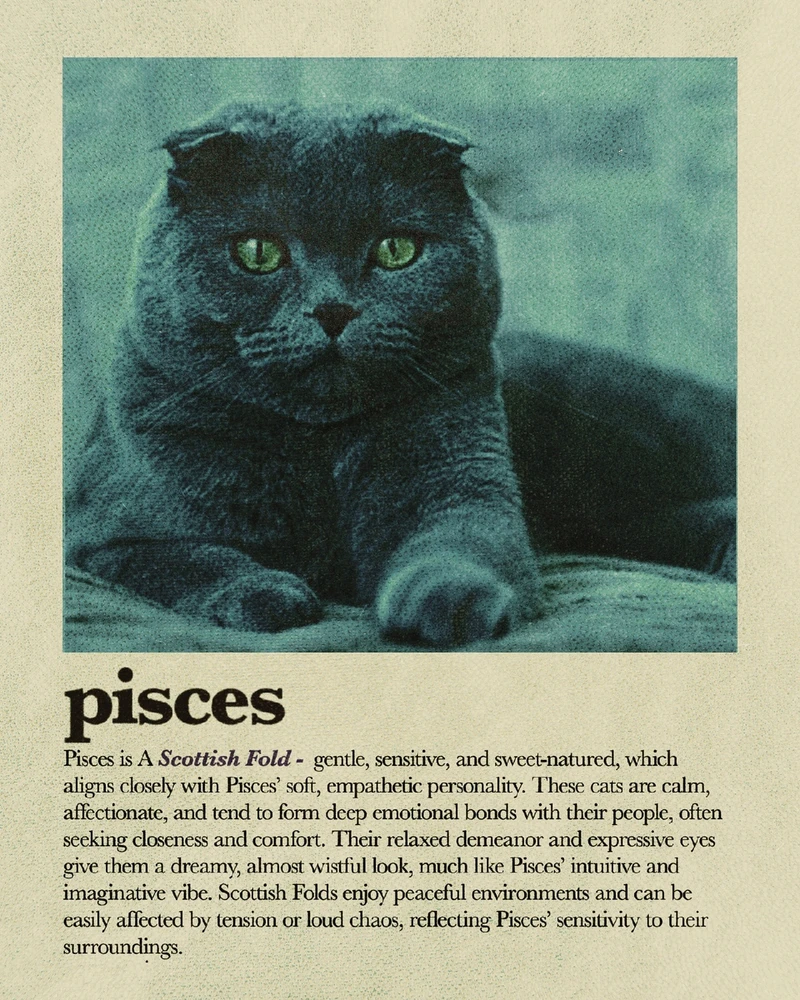 Bild hochgeladen von Osthexe