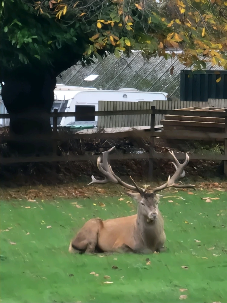 GIF uploaded by Bhuvan