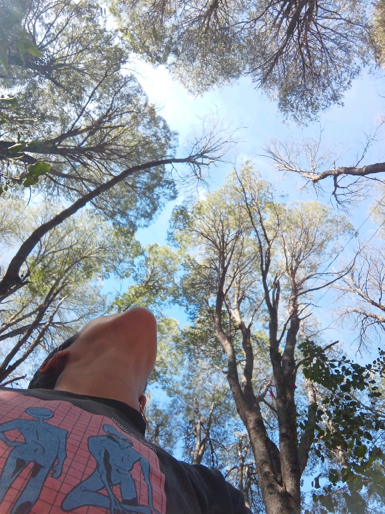 Image uploaded by Cecilia