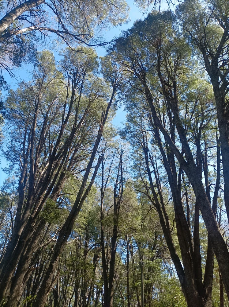 Image uploaded by Cecilia