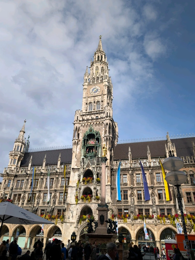 Image uploaded by Braund