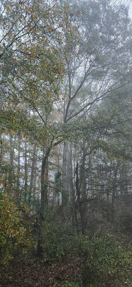 GIF uploaded by Jamie