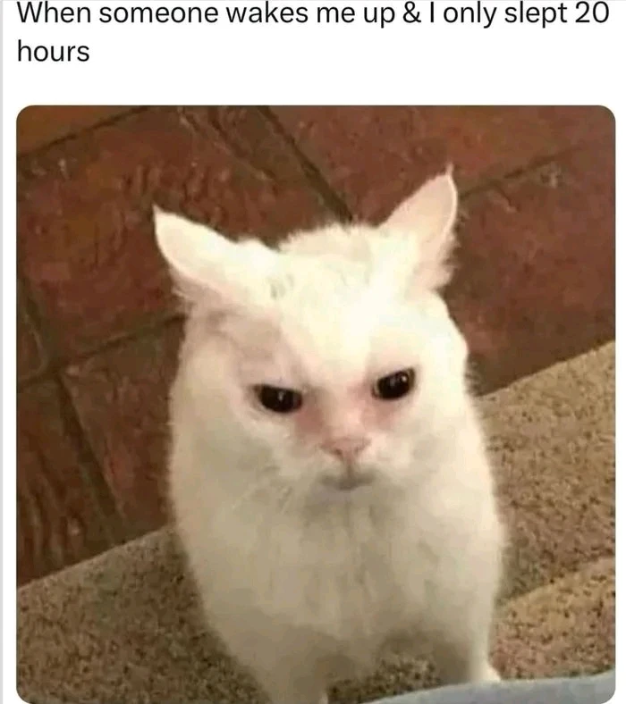 GIF dodany przez Bez Złudzeń