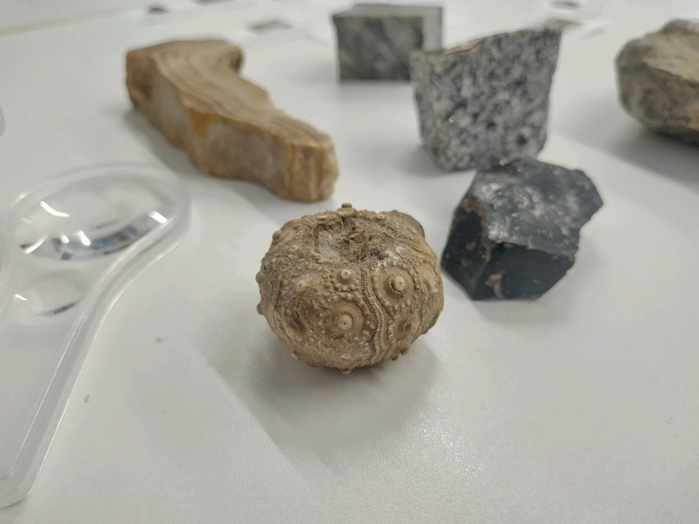 GIF uploaded by Zakk